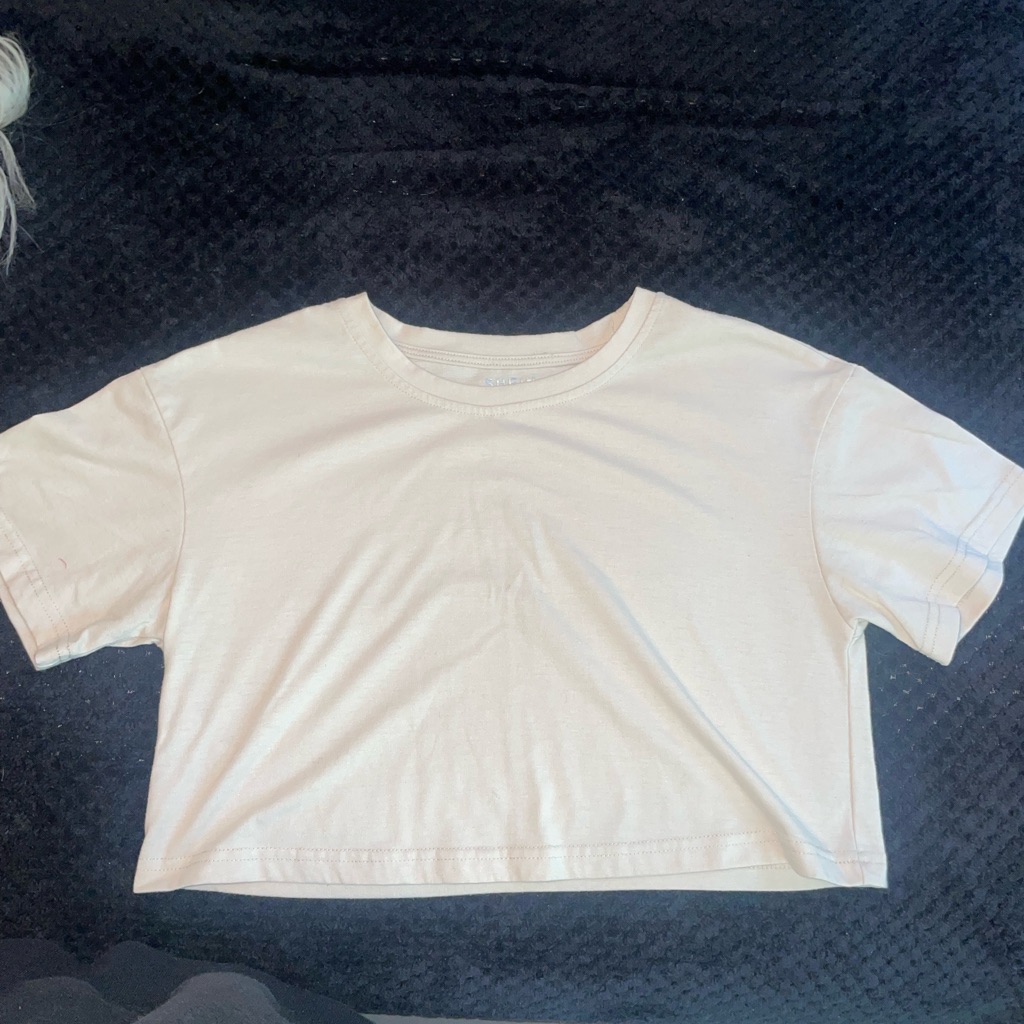 Solid Crew Neck Crop Tee